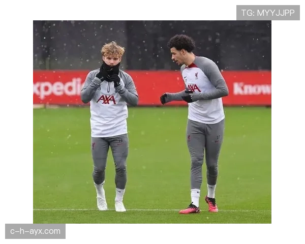 维特斯青训再创佳绩,新星闪耀引关注 维特斯青训再创佳绩,新星闪耀引关注