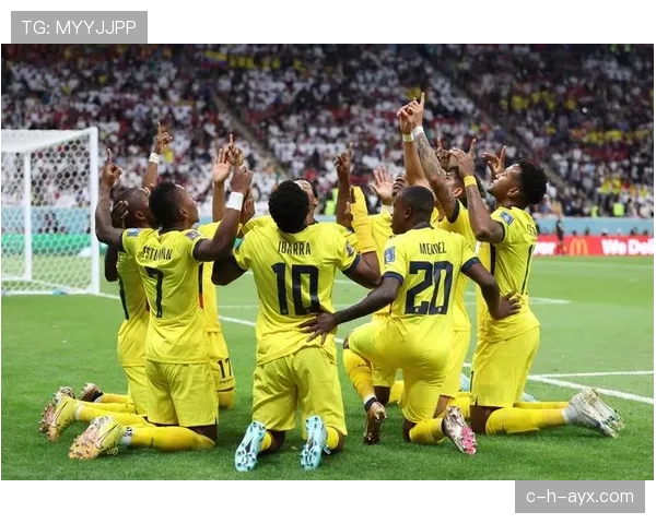 卡塔尔足球联赛事件最新调查进展