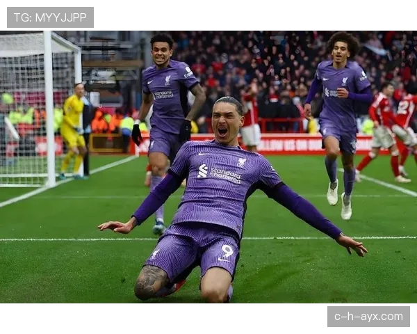 努涅斯与苏亚雷斯：乌拉圭中锋的传承与断层分析